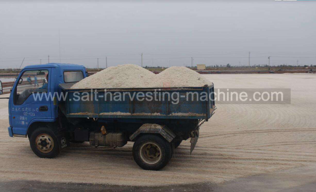 Camion De Transport De Sel 6 Salt transport truck16