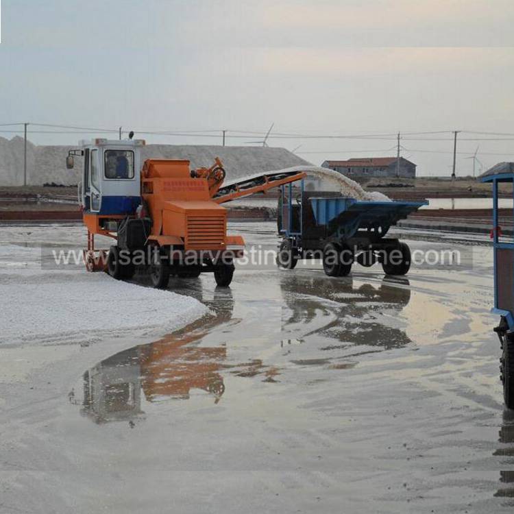 Salt Collecting Machine For Sale 4 Salt collecting machine10