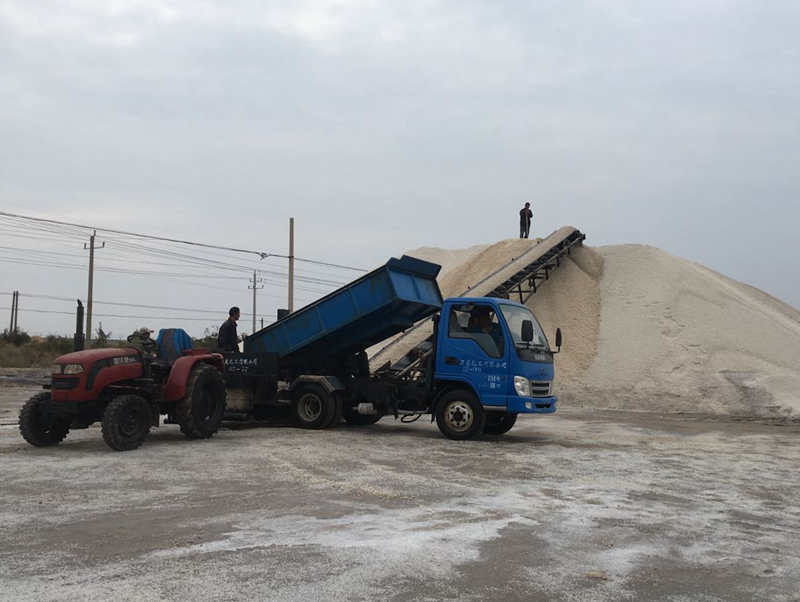 Convoyeur à bande de chargement18