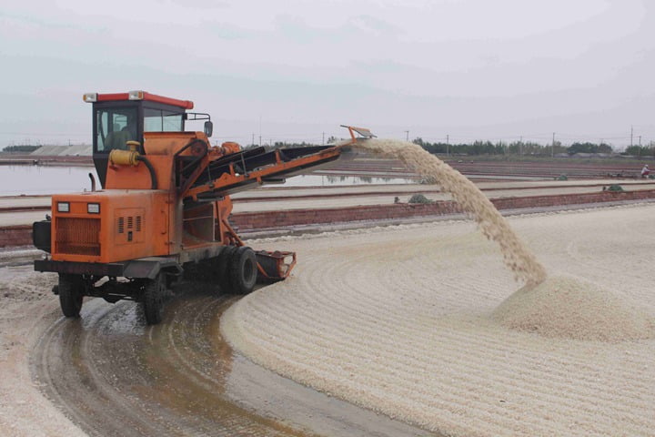 Shuliy salt harvesting machine