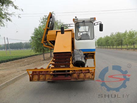 Why do large salt fields choose salt harvesters?