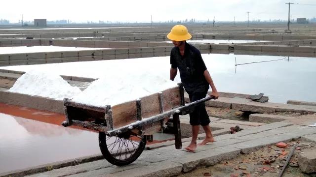 Small Salt Harvester Shipped To Iran 1 Sea salt harvesting with labors