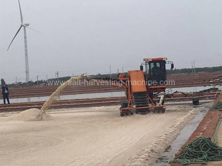 Salt field b