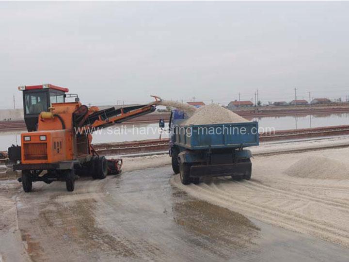 Salt collecting machine