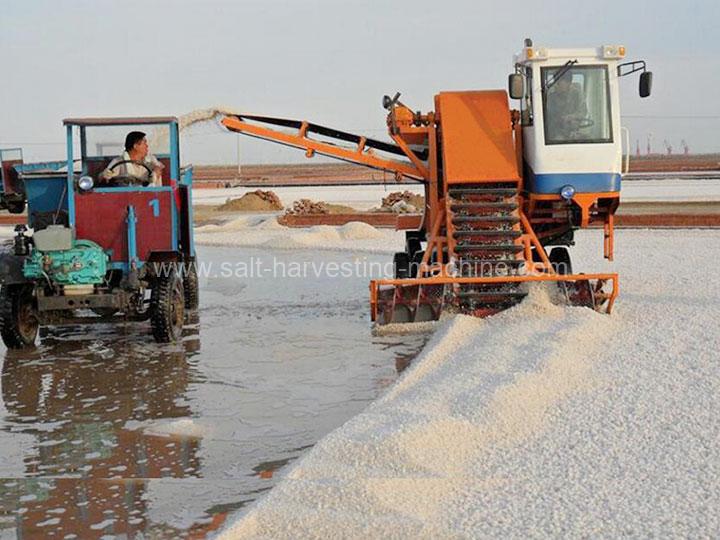 Salt collector harvester machine