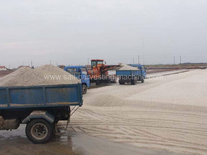 Salt harvester